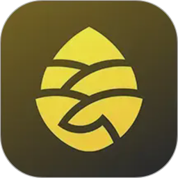 �ɹ�����