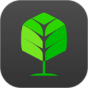 �Ͷ�������