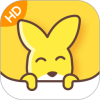 �ڴ�����HD