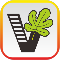 ��Ҫ��ѧ��