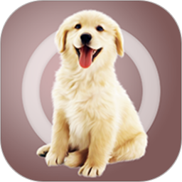 �˹�������